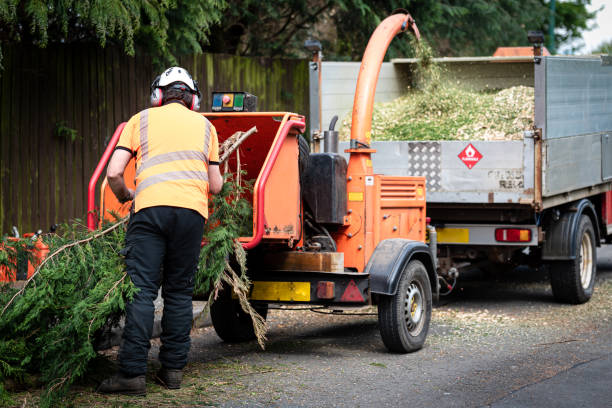 Tree Removal for Businesses in Hopwood, PA